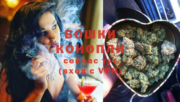 прущие грибы Михайловск