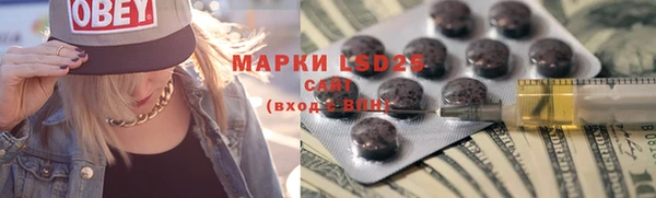 прущие грибы Михайловск