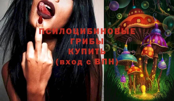 прущие грибы Михайловск