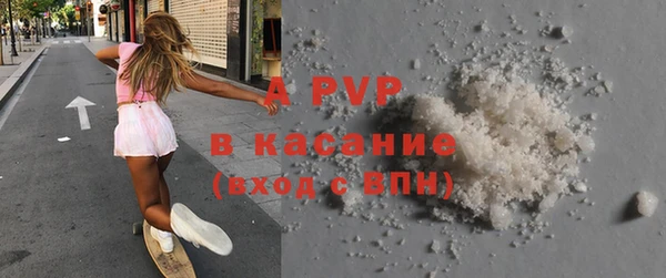 прущие грибы Михайловск