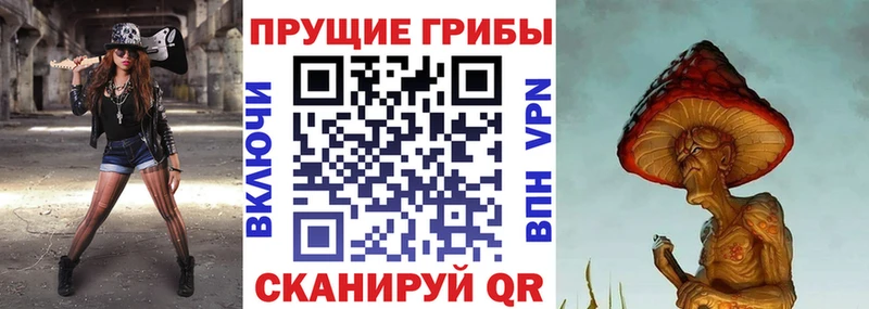 Псилоцибиновые грибы Magic Shrooms  Черногорск 